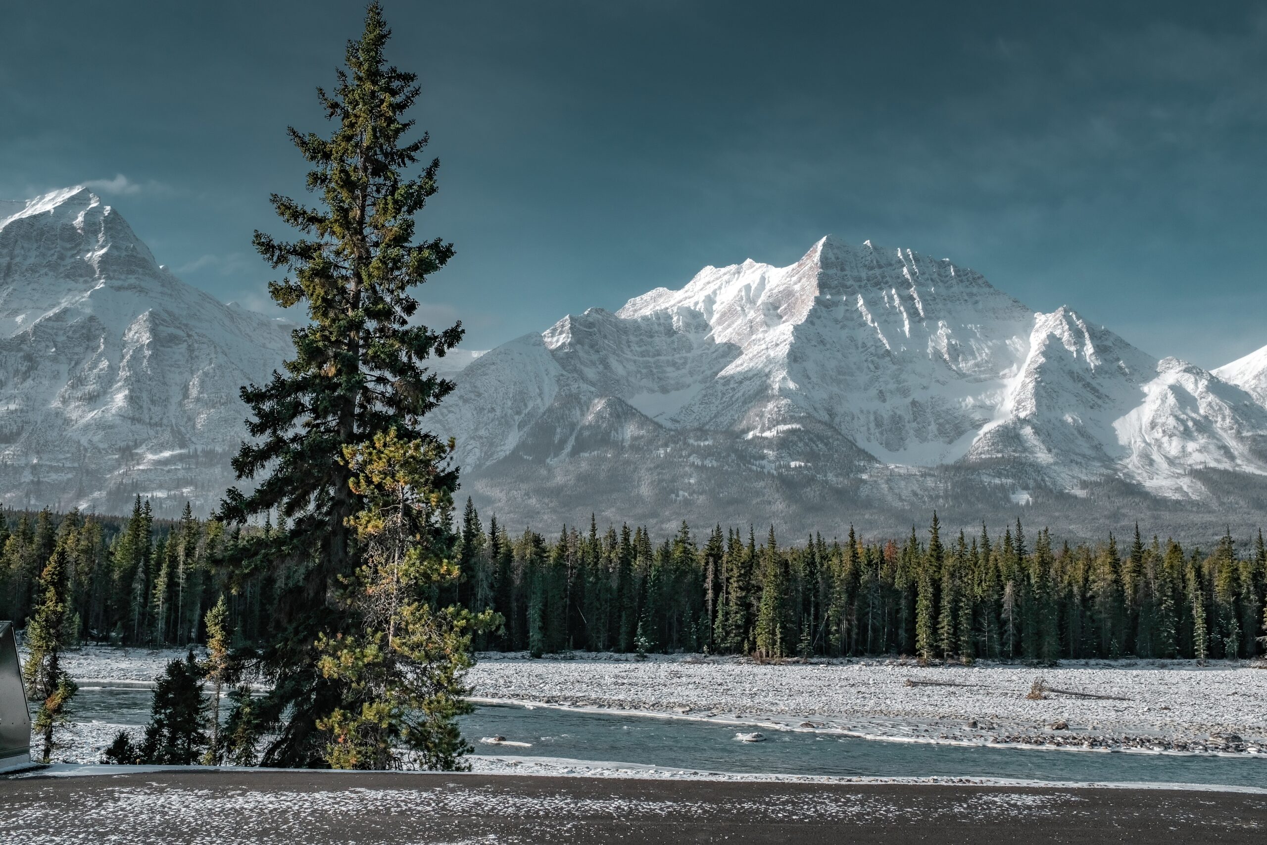 Beautiful scenery of green trees surrounded by snowy mountains